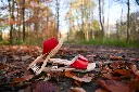 0594_2_11zon.webp