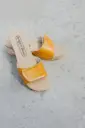 Fish Vernis Orange