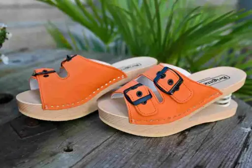 Snake Orange